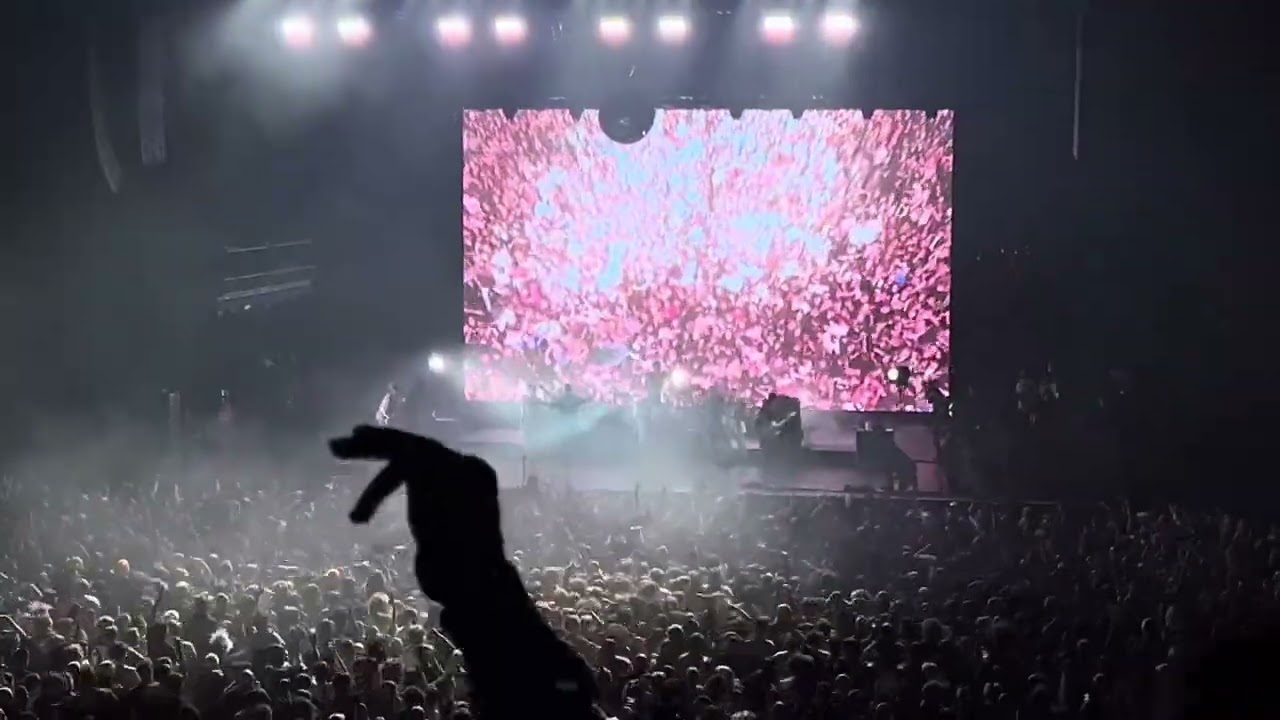 BIRDS - Turnstile (Live in Paris @ Le Zenith - La Villette) - 11/16/2025