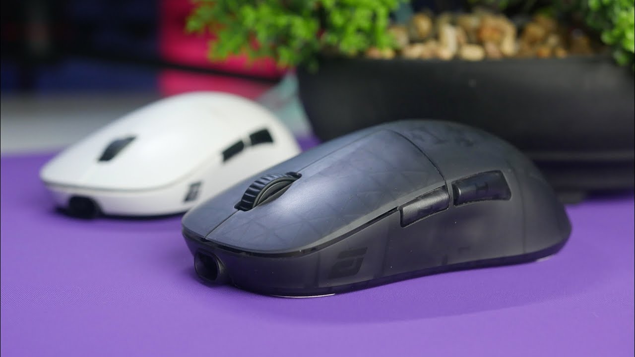 Die Skandalmaus des Jahres!? - Endgame Gear XM2w 4k Review (+ XM2we Vergleich)