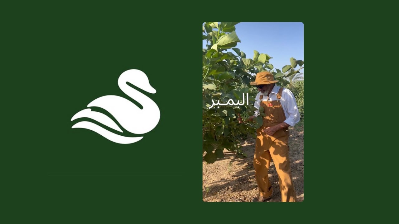 البمبر | مع بوعثمان 👨🏼‍🌾