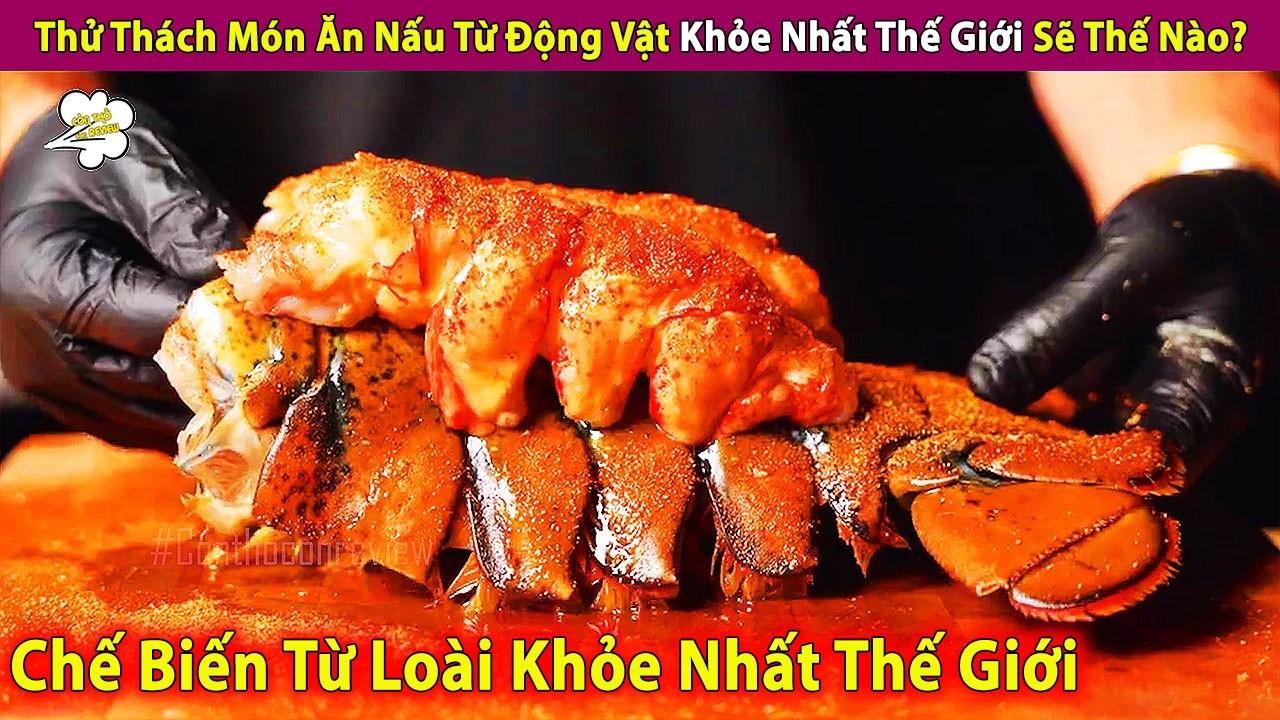 Thử Thách Món Ăn Nấu Từ Loài Động Vật Khỏe Nhất Thế Giới Sẽ Thế Nào? | Review Con Người Và Cuộc Sống