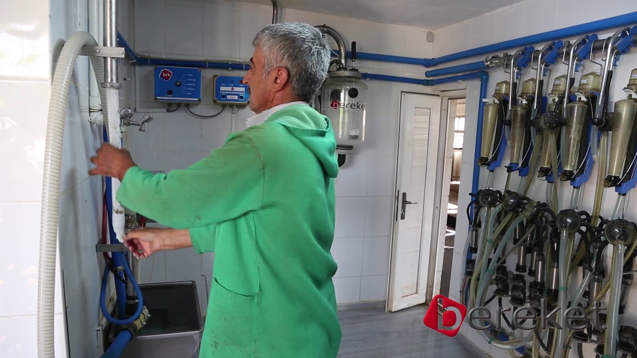 Bereket Koru Sağım Sistemi