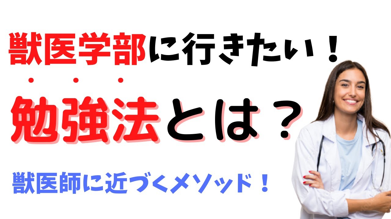 獣医学部合格を引き寄せる勉強法とは？気をつけるべき5つのポイントについて現役獣医師が解説！