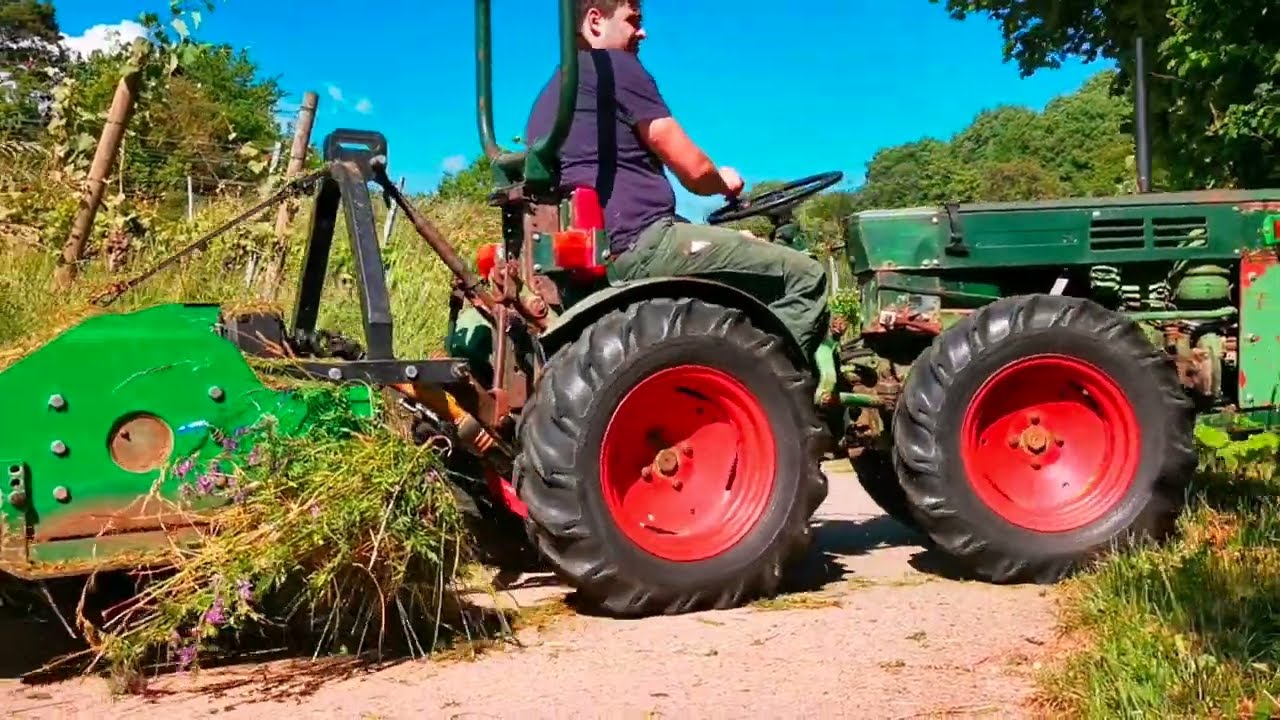 Weinberg mulchen mit Holder A30 und Agromec Schlegelmulcher