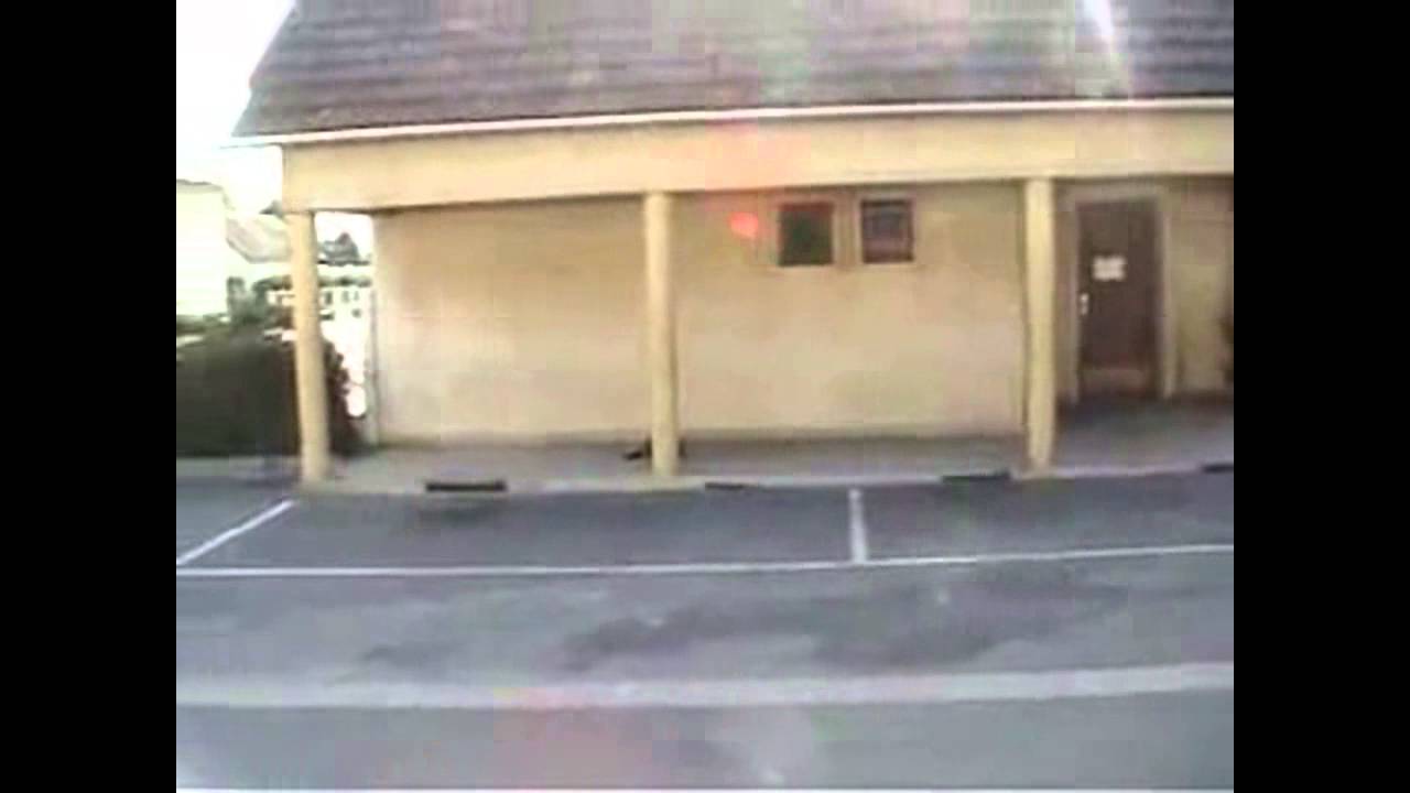 video drole marrante