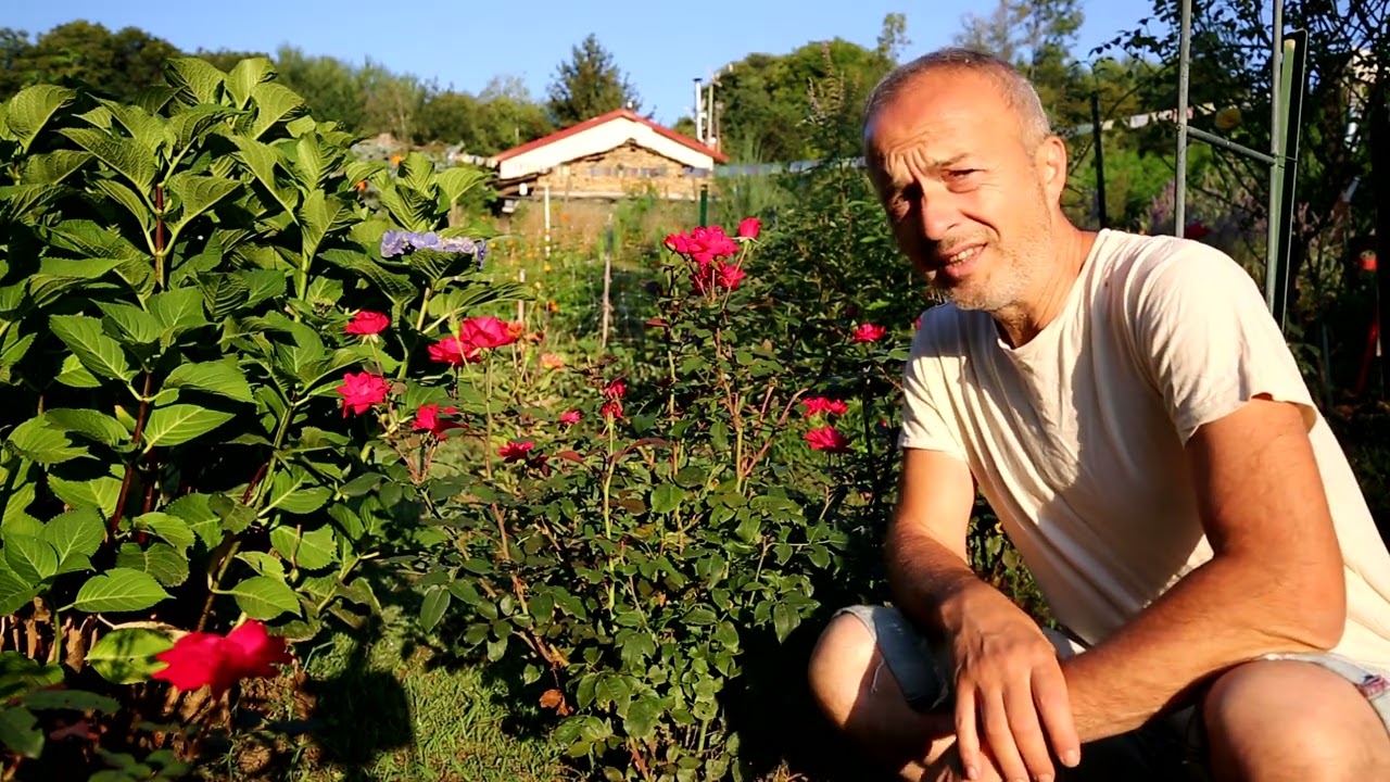 Video 153 - Pulire le aiuole.