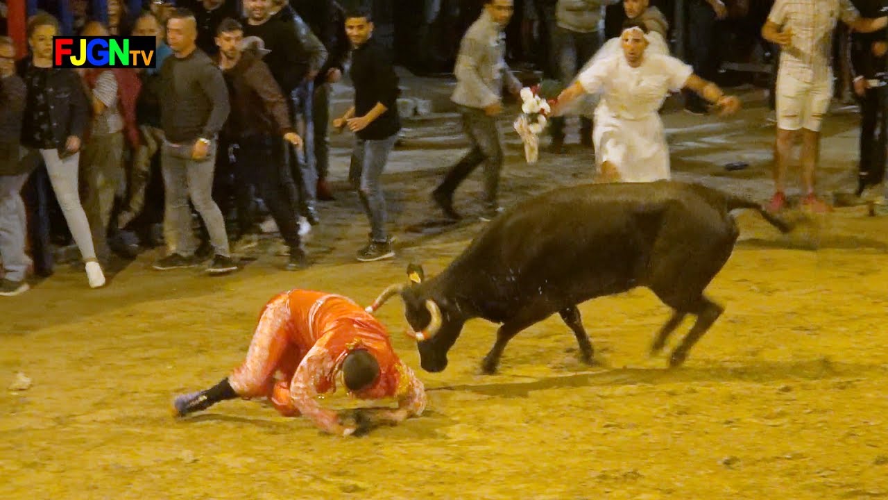 Vacas Enfundadas Hnos Barberan 25-05-2019 Almazora - Almassora Bous Al Carrer [Toros FJGNtv]