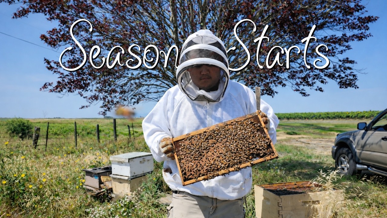 It’s Beekeeping Season in California