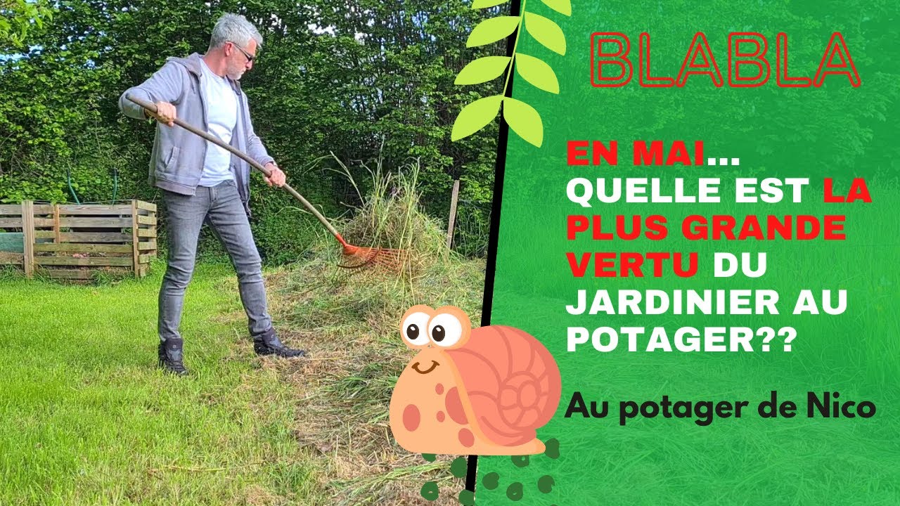 Pas facile le début de saison! En mai, quelle est la plus grande vertu du jardinier au potager?