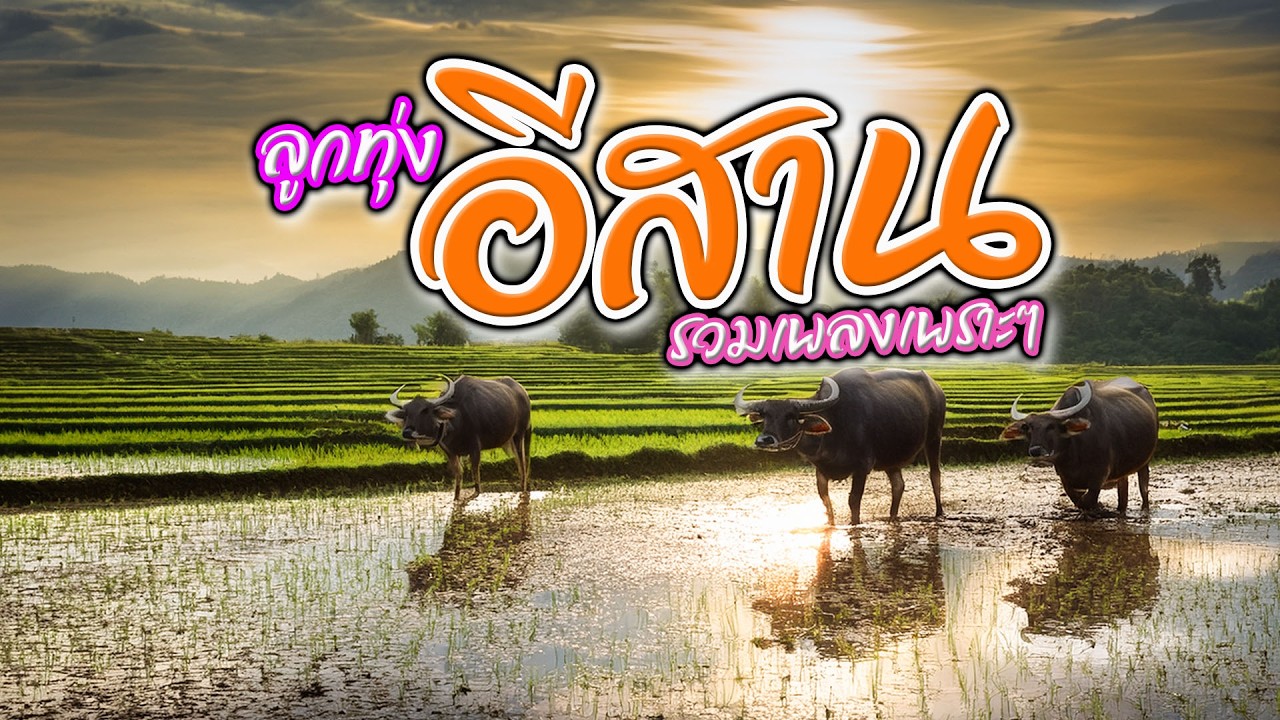 ลูกทุ่งอีสาน รวมเพลงเพราะคัดมาฟัง