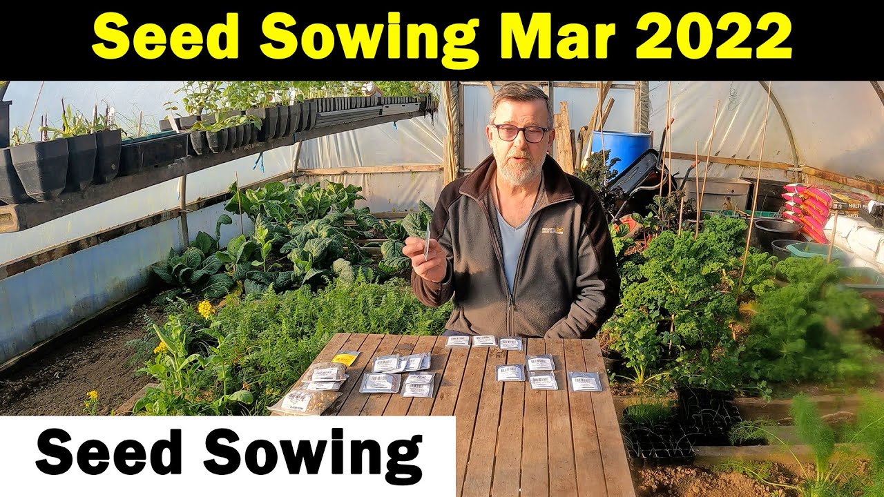 Seeds to Sow in March | Seed Sowing in March | Vegetable Seed Sowing | Green Side Up
