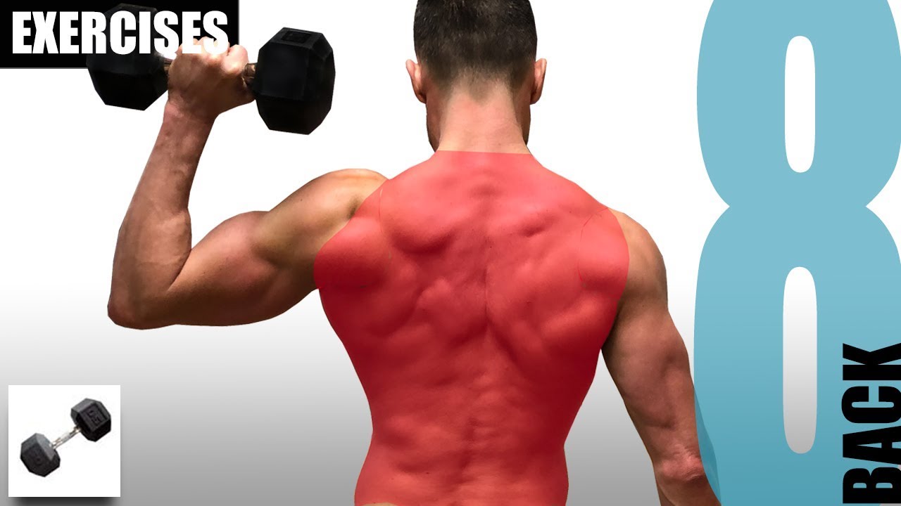 8 BACK EXERCISES YOU CAN DO WITH JUST ONE DUMBBELL