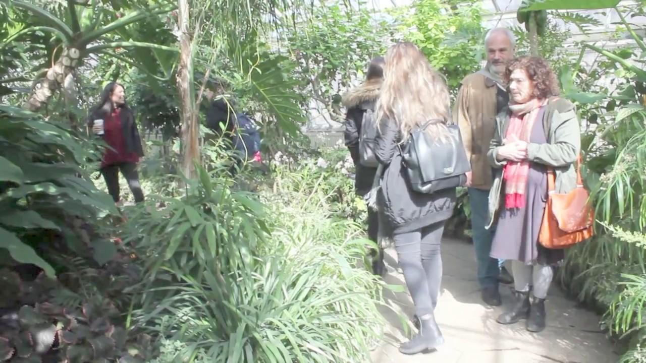 Psychology and Design Video Assignment - Allan Gardens