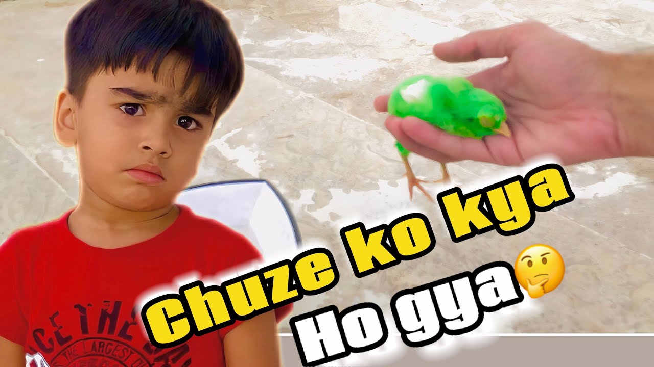 Chuze ko kya ho gaya🤔 | How to treat a chicken eye infection