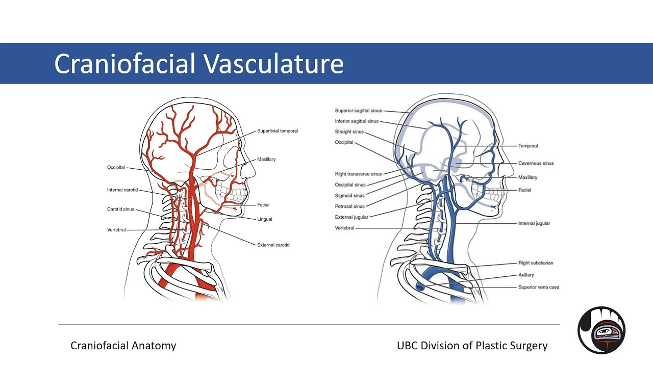 Craniofacial - Approach to Facial Trauma