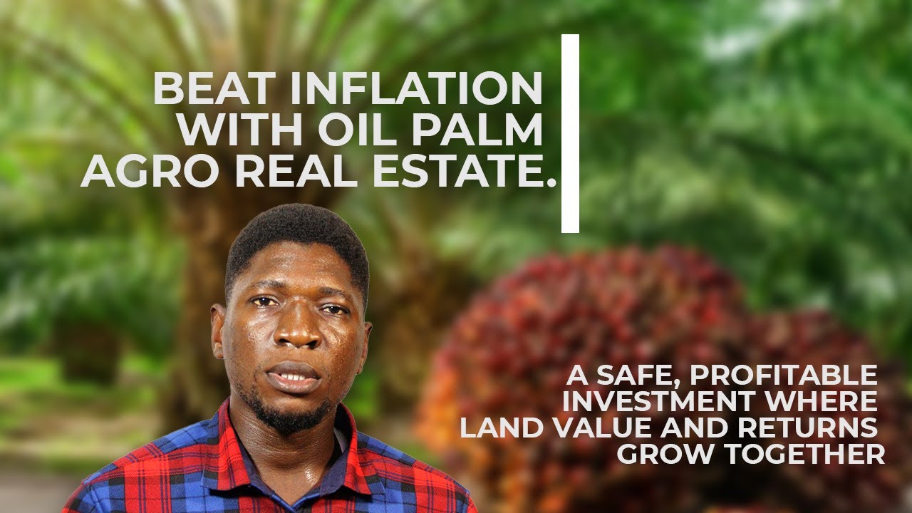 Why Oil Palm Farming is the Best Investment Opportunity in Nigeria 2025