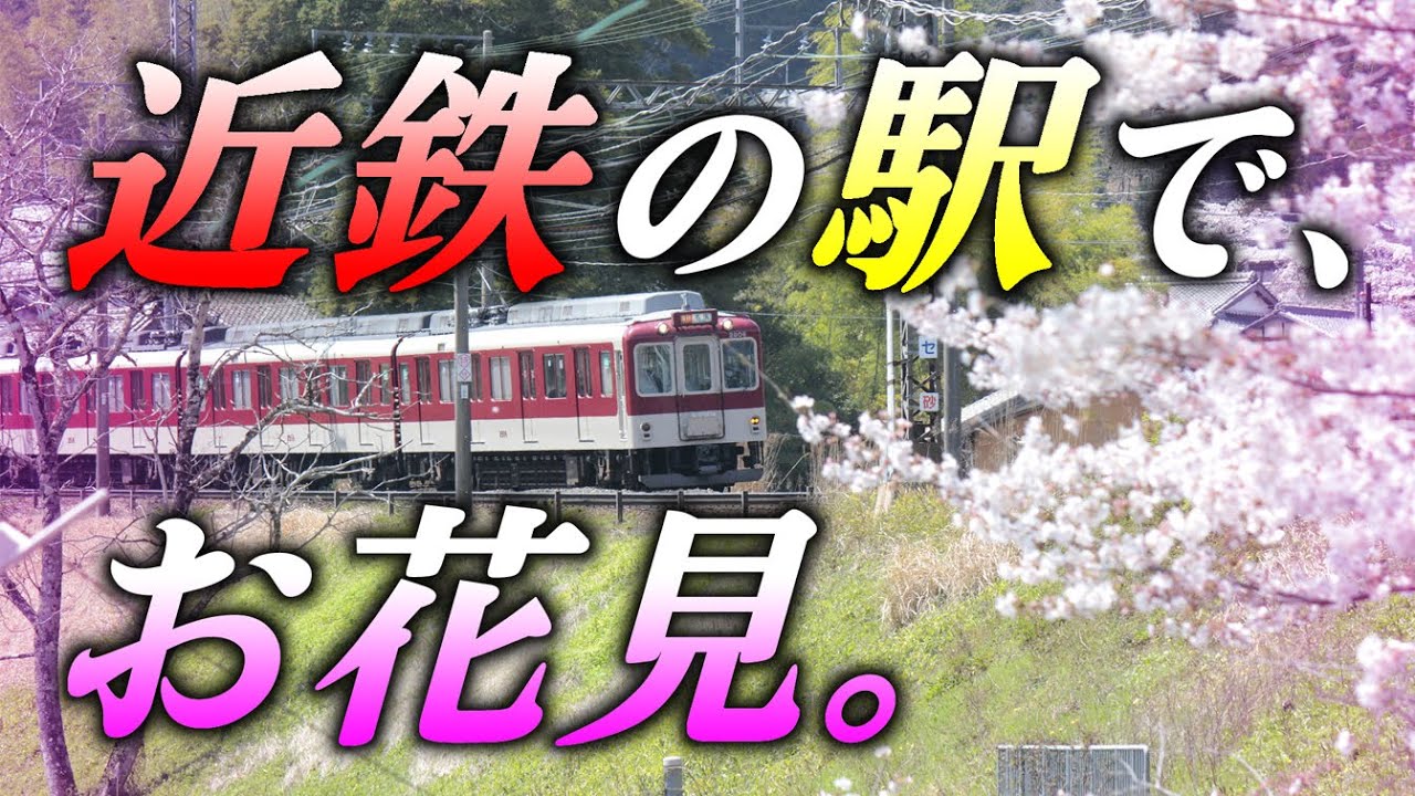 【お花見】と【撮り鉄】が出来る【近鉄の駅】