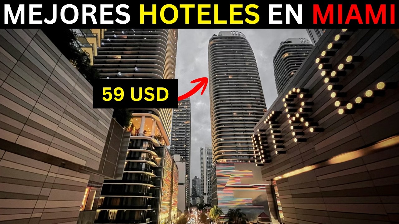 Mejores hoteles en Miami (PARA TODOS LOS PRESUPUESTOS)