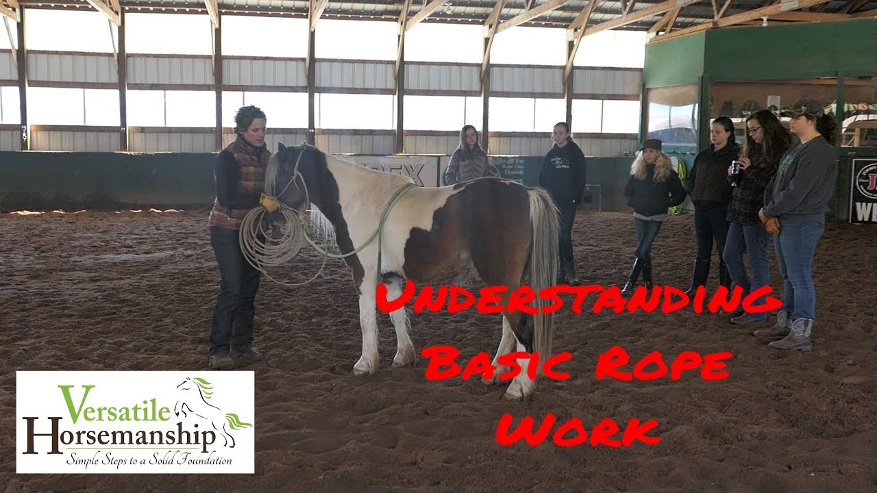 Basic Rope Work With Horses // Versatile Horsemanship