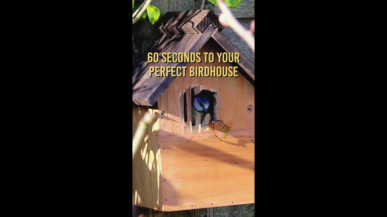 Create the Perfect Birdhouse for Your Backyard