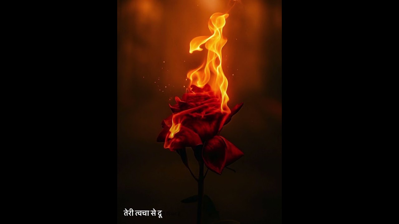 JVE ~ Unsaid Between Us 