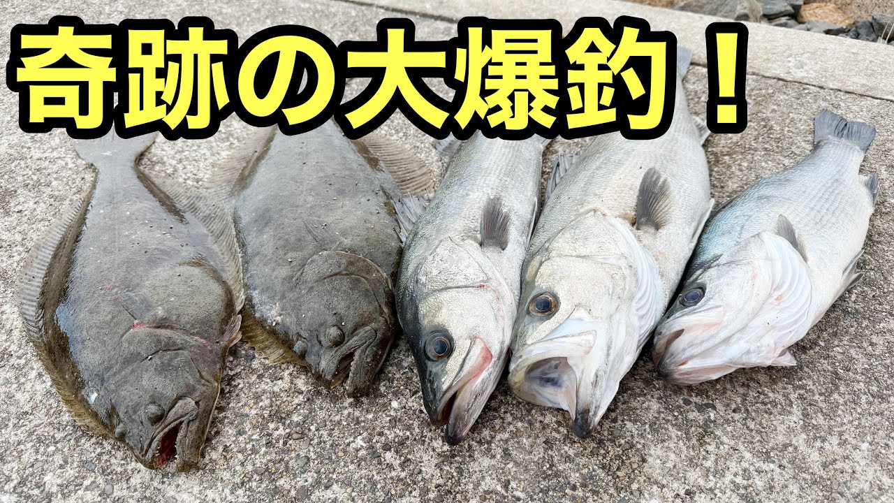 【奇跡の大爆釣】釣れ過ぎて困ります！投げれば釣れる終わり無き入れ食いは凄まじかった【ショアジギング/飲ませ釣り】