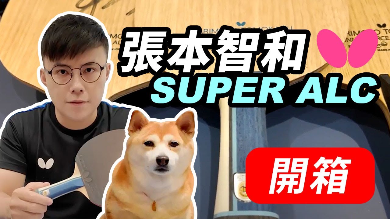 【硬要開箱】BUTTERFLY 張本智和 SUPER ALC Review！#tabletennis #乒乓 #桌球 #pingpong #卓球 #張本美和SALC #HarimotoSALC