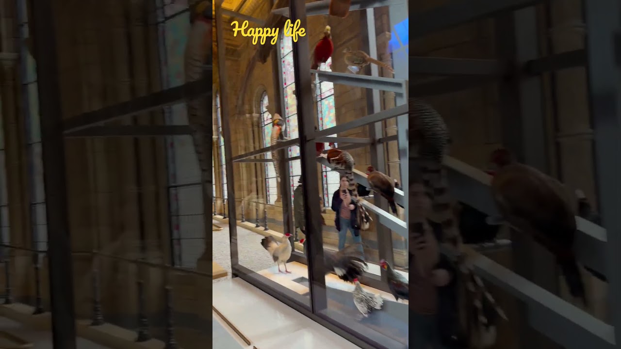 Natural History Museum in London, England, United Kingdom 