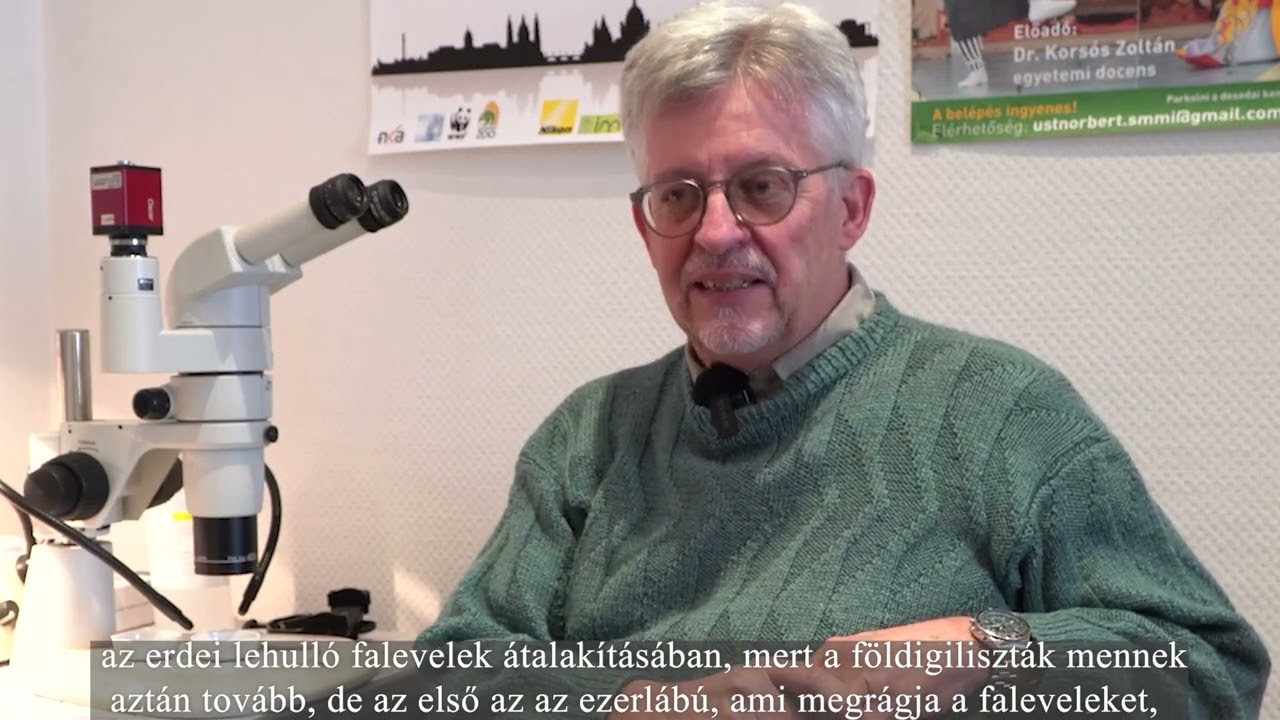 Kutat&oacute; zool&oacute;gus k&eacute;pz&eacute;s - Mi a kutat&oacute;i munka gyakorlati haszna?
