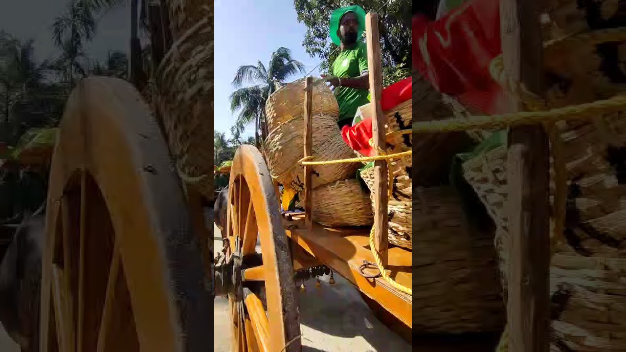 ചാവക്കാട് എടക്കഴിയൂർ നേർച്ച