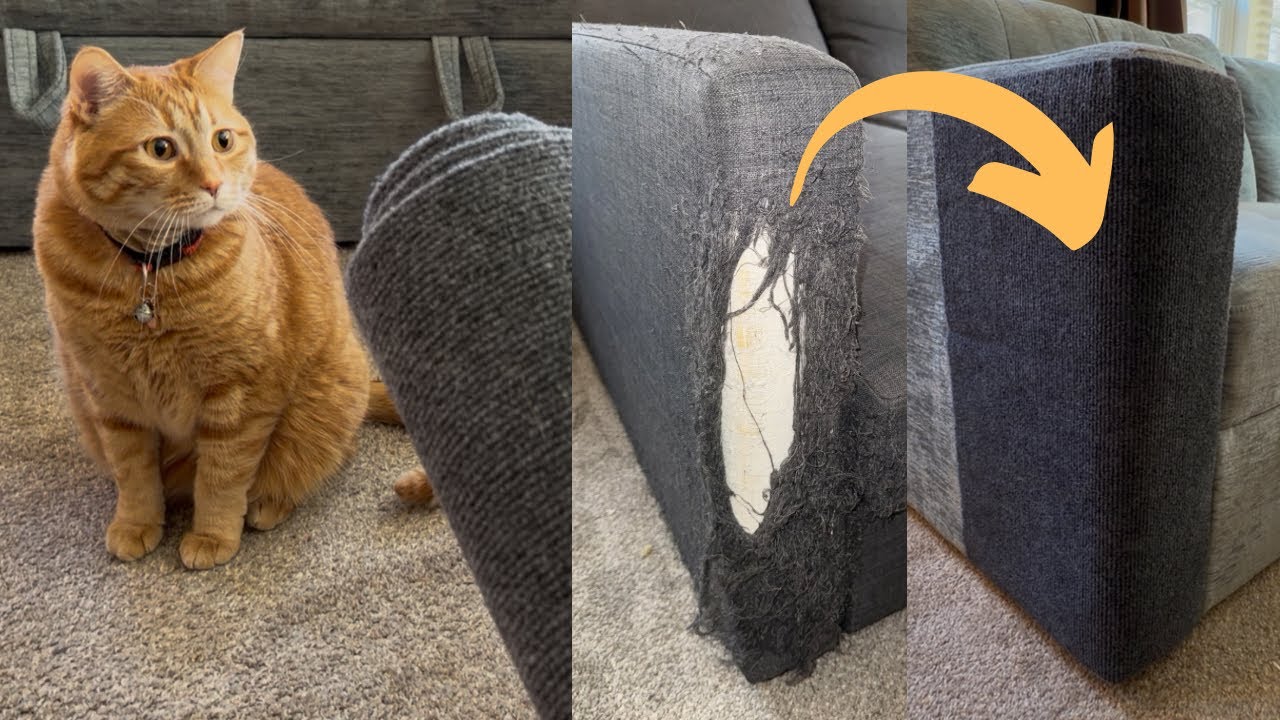 How to Protect Couch Corners from Cat Scratching (Easy Adhesive Fix)