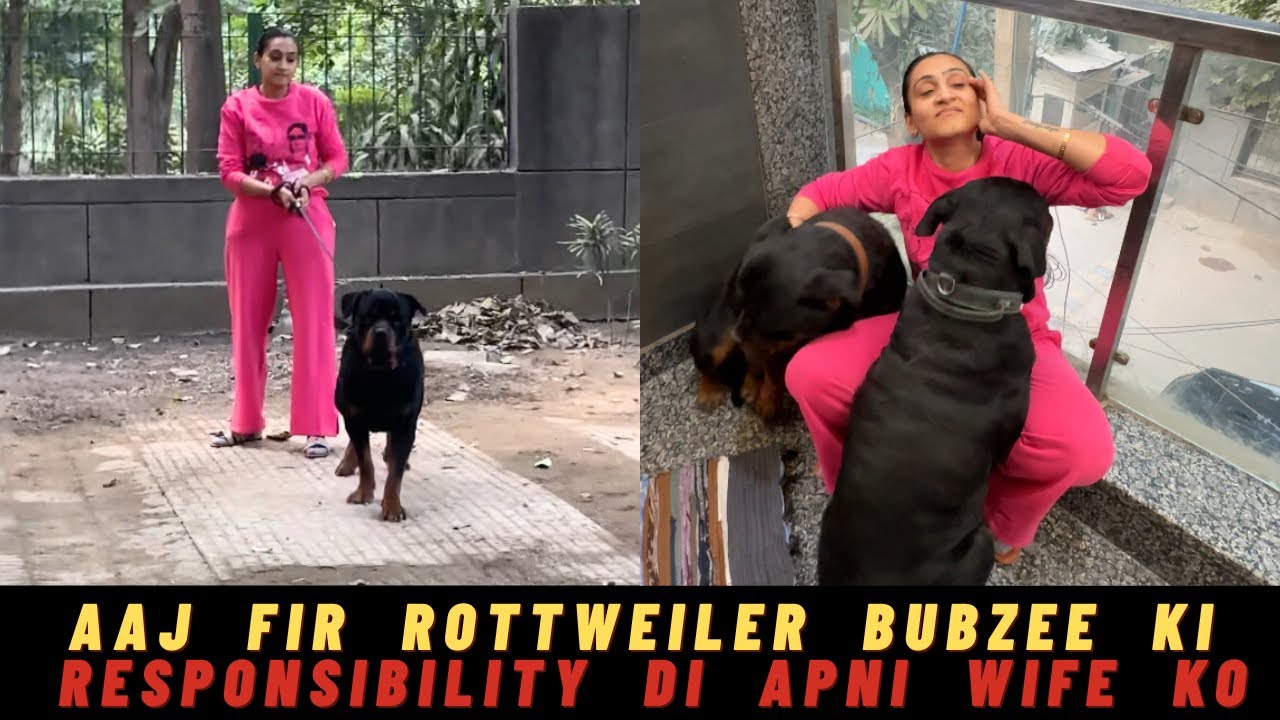 Aaj Rottweiler Bubzee Ki Responsibility Di Apni Wife Ko !!!! 