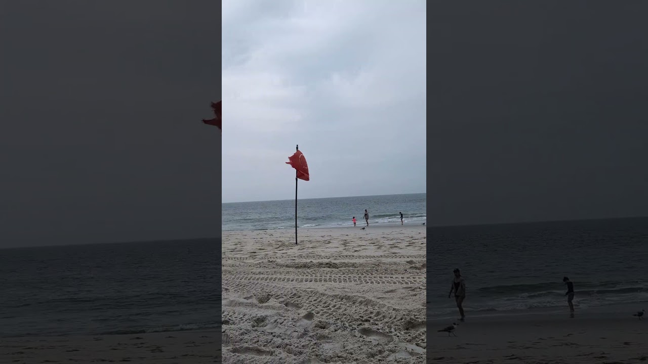 A Beach Reprieve