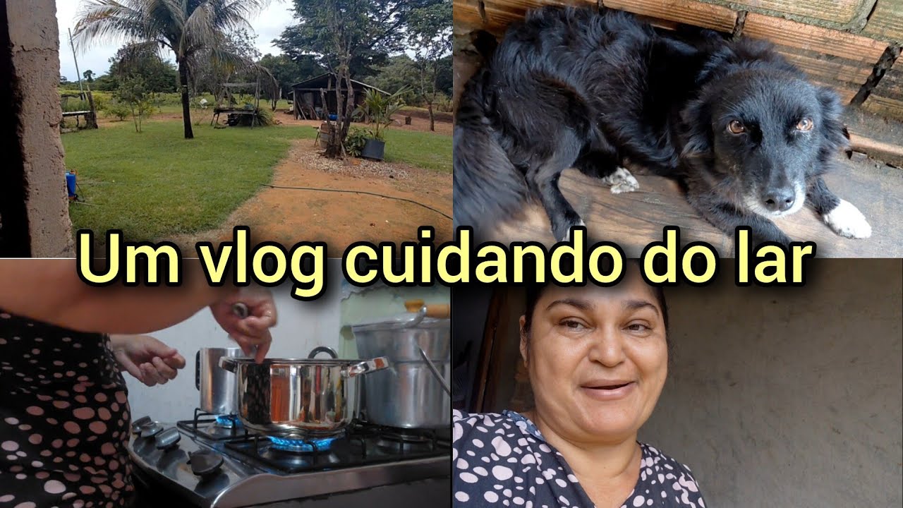 Um vlog cuidando do lar