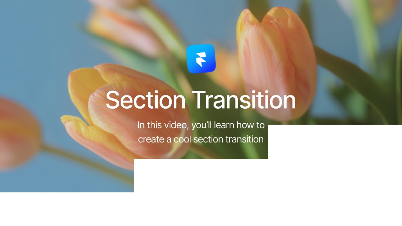 Section Transition in Framer