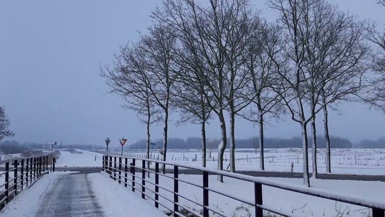 Sneeuw in Park Lingezegen 06-01-2026