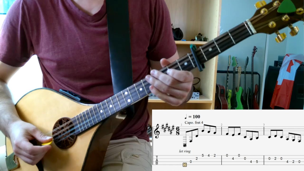 Creggan White Hare Intro Tutorial || Irish Bouzouki || Lesson Part 1