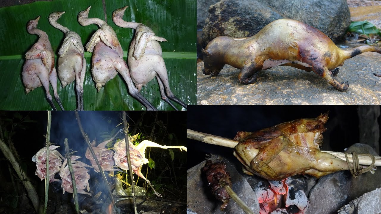 KIẾM ĂN TRONG RỪNG, TRẢI NGHIỆM NGỦ RỪNG, CUỘC SỐNG HOANG DÃ - P13