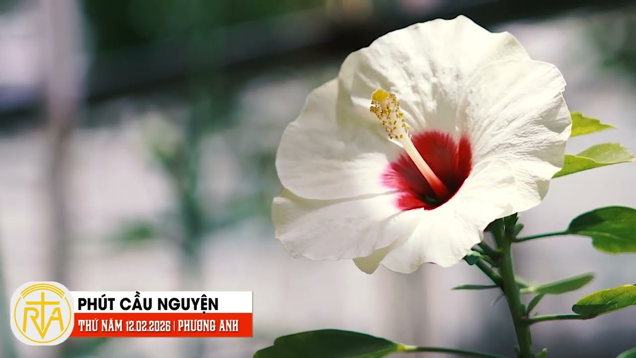 Phút Cầu Nguyện, Thứ Năm 12/02/2026: Hạnh phúc trong tâm hồn