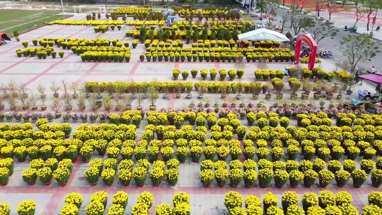 Sắc màu quê hương , hồ nước chè xã Diên Sanh, tỉnh Quảng Trị
