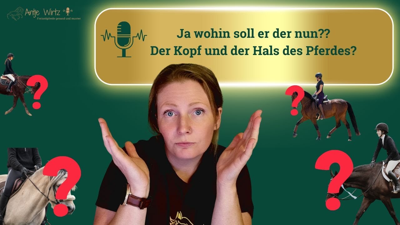 Wie wichtig ist die Kopf-Hals-Haltung wirklich und wo soll der Kopf denn nun hin? Wir klären!