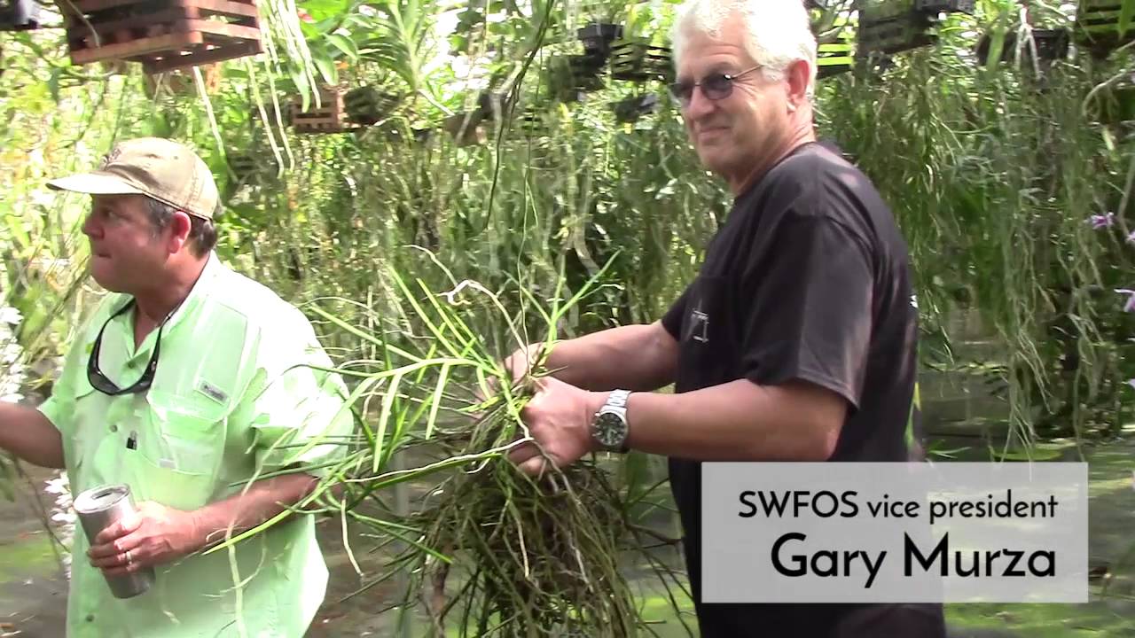 A Backstage Look at Palmer Orchids with Barb and Gary Murza