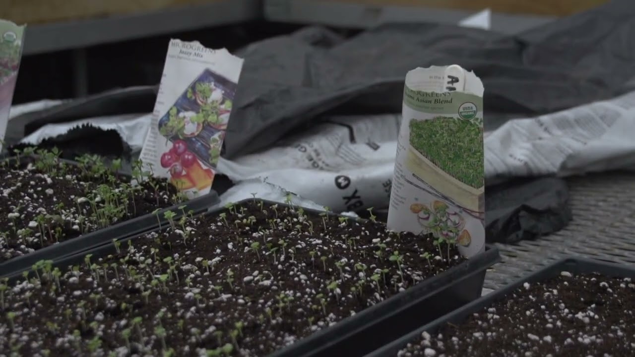 What To Know When Winter Gardening