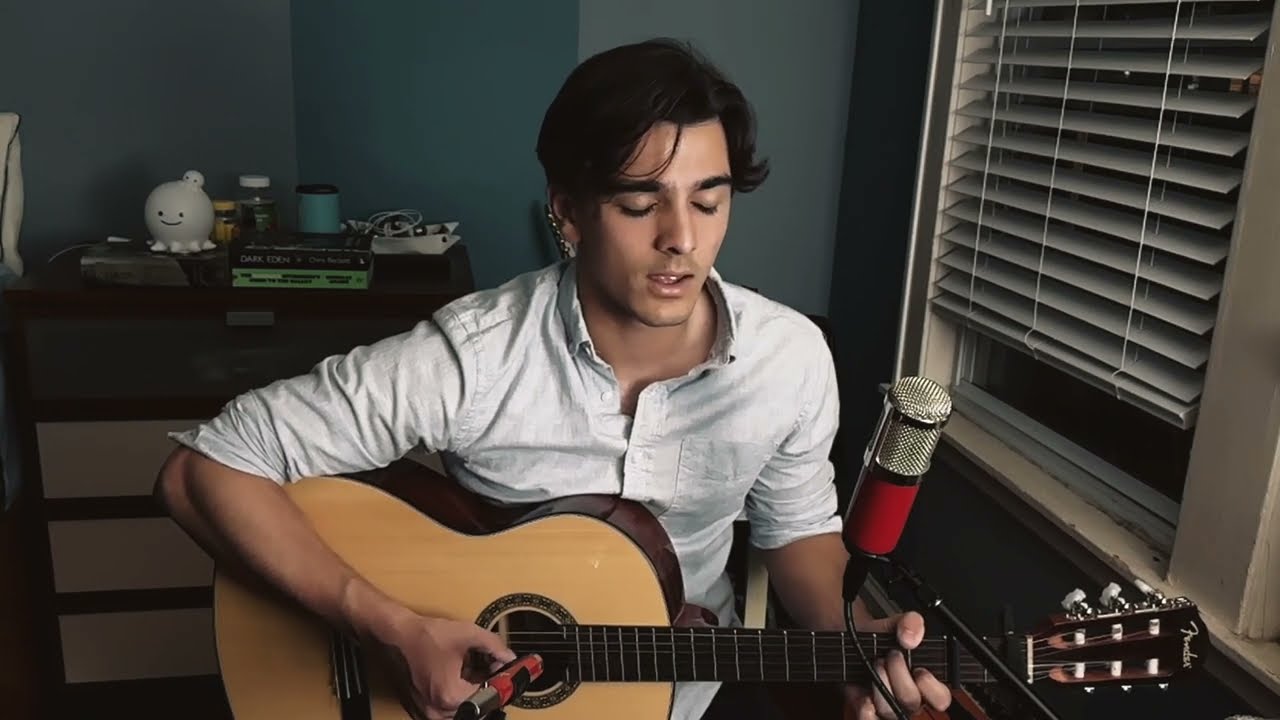 Swan Upon Leda - Hozier