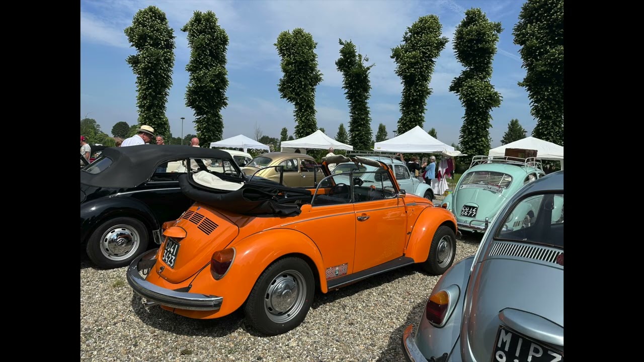 Il Maggiolino Pavese #4 - Berghem Bug - Certosa diPavia - 25 maggio 2025