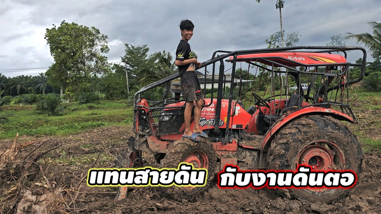 แทนสายดัน กับงานดันตอไม้ยาง