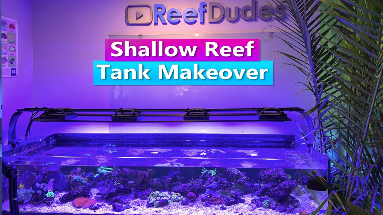Shallow Reef Tank Makeover