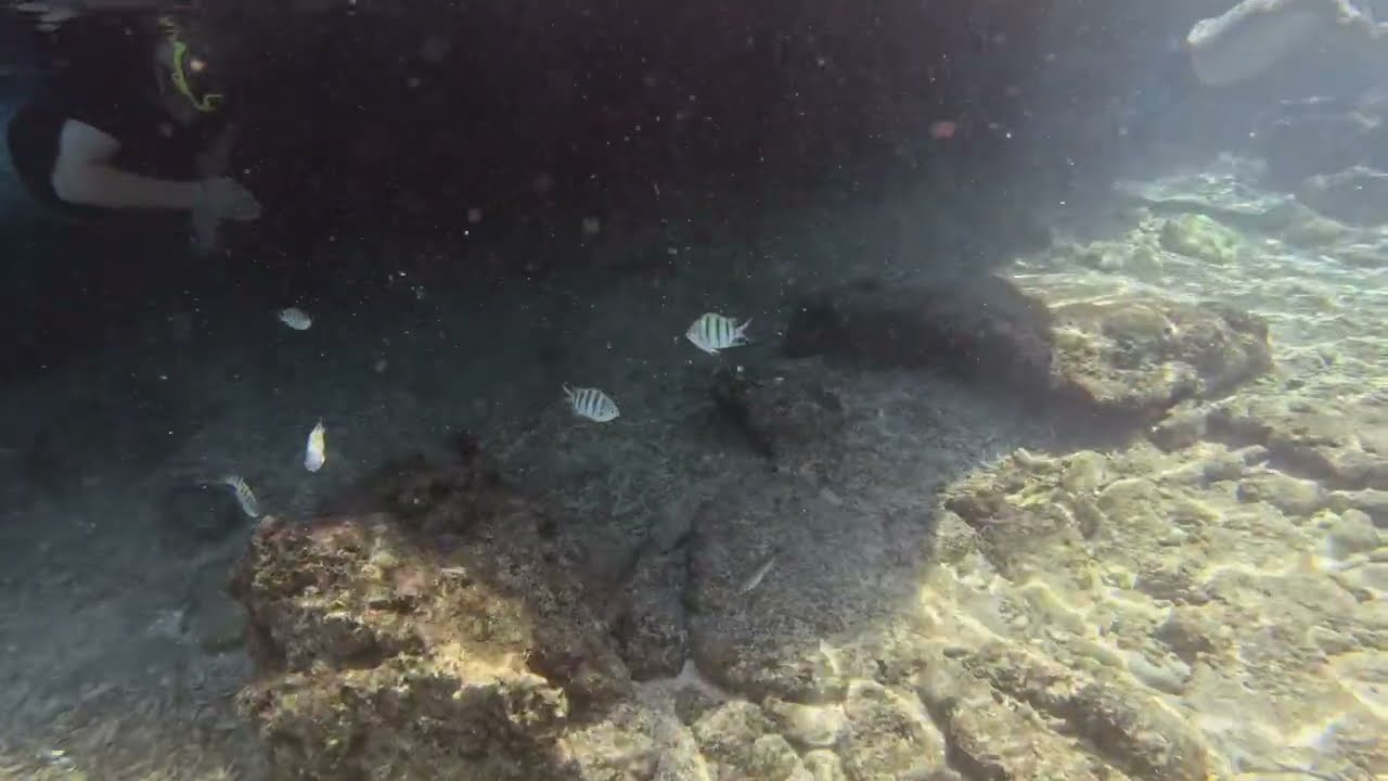Snorkeling at Cas Abao Beach in Curaçao.