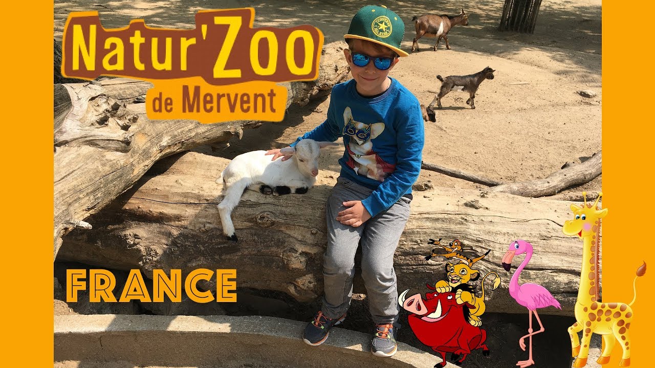 NatureZoo de Mervent 🐆 | France | Зоопарк Мерван 🦌&mdash; Vend&eacute;e