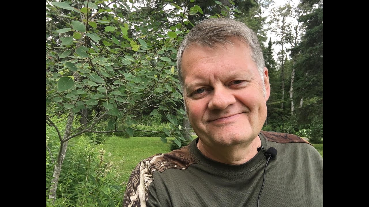 Recent dream and picture vision I needed to share.