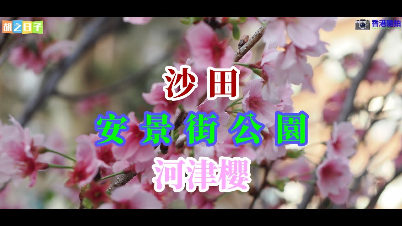 香港隨拍EP010